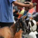 Makna Pengorbanan untuk Membangun Industri Manufaktur yang Berkelanjutan