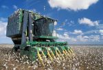 Proyek Infrastruktur dan Pusat Data AI Dongkrak Penjualan Alat Konstruksi Deere 18 Persen