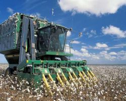 Proyek Infrastruktur dan Pusat Data AI Dongkrak Penjualan Alat Konstruksi Deere 18 Persen