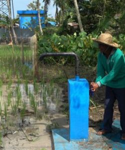 JIAT Jadi Andalan Petani di Banjar Hadapi El Nino, Puluhan Hektare Lahan Terairi