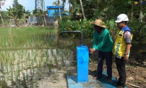 JIAT Jadi Andalan Petani di Banjar Hadapi El Nino, Puluhan Hektare Lahan Terairi