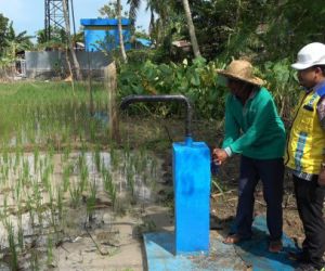 JIAT Jadi Andalan Petani di Banjar Hadapi El Nino, Puluhan Hektare Lahan Terairi
