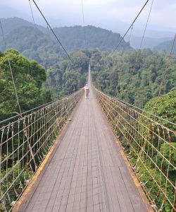 Sukabumi Sehari: Dari Sajadah ke Jembatan Langit