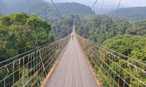 Sukabumi Sehari: Dari Sajadah ke Jembatan Langit