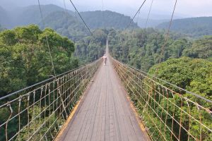 Sukabumi Sehari: Dari Sajadah ke Jembatan Langit