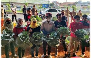 Panen raya di bawah kolong tol
