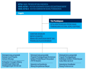 Struktur Organisasi TNP2K