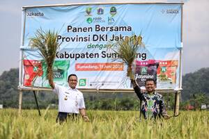 Anies Baswedan Tinjau Pertanian Di Sumedang