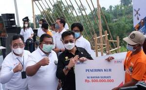BNI Salurkan KUR Sebesar Rp 3,2 Triliun di Sektor Pertanian