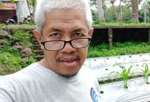 Ahmad Djauhar, Pemimpin Redaksi yang Jadi Petani